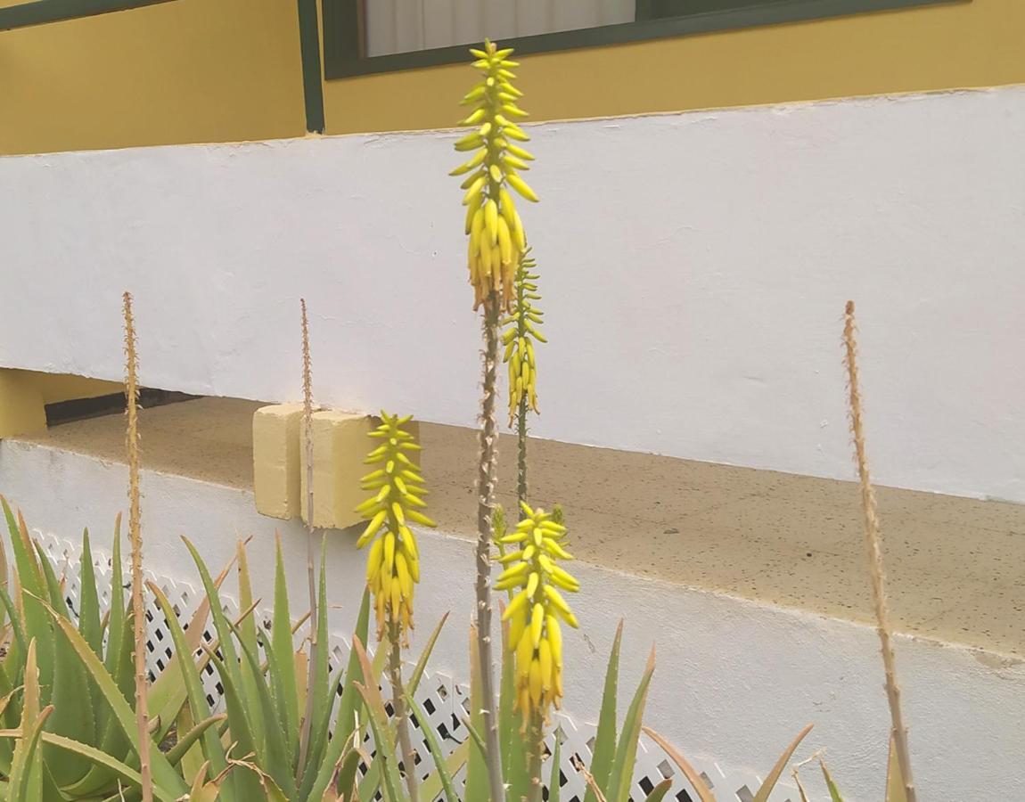 Caroni Apartment Playa del Ingles  Bagian luar foto